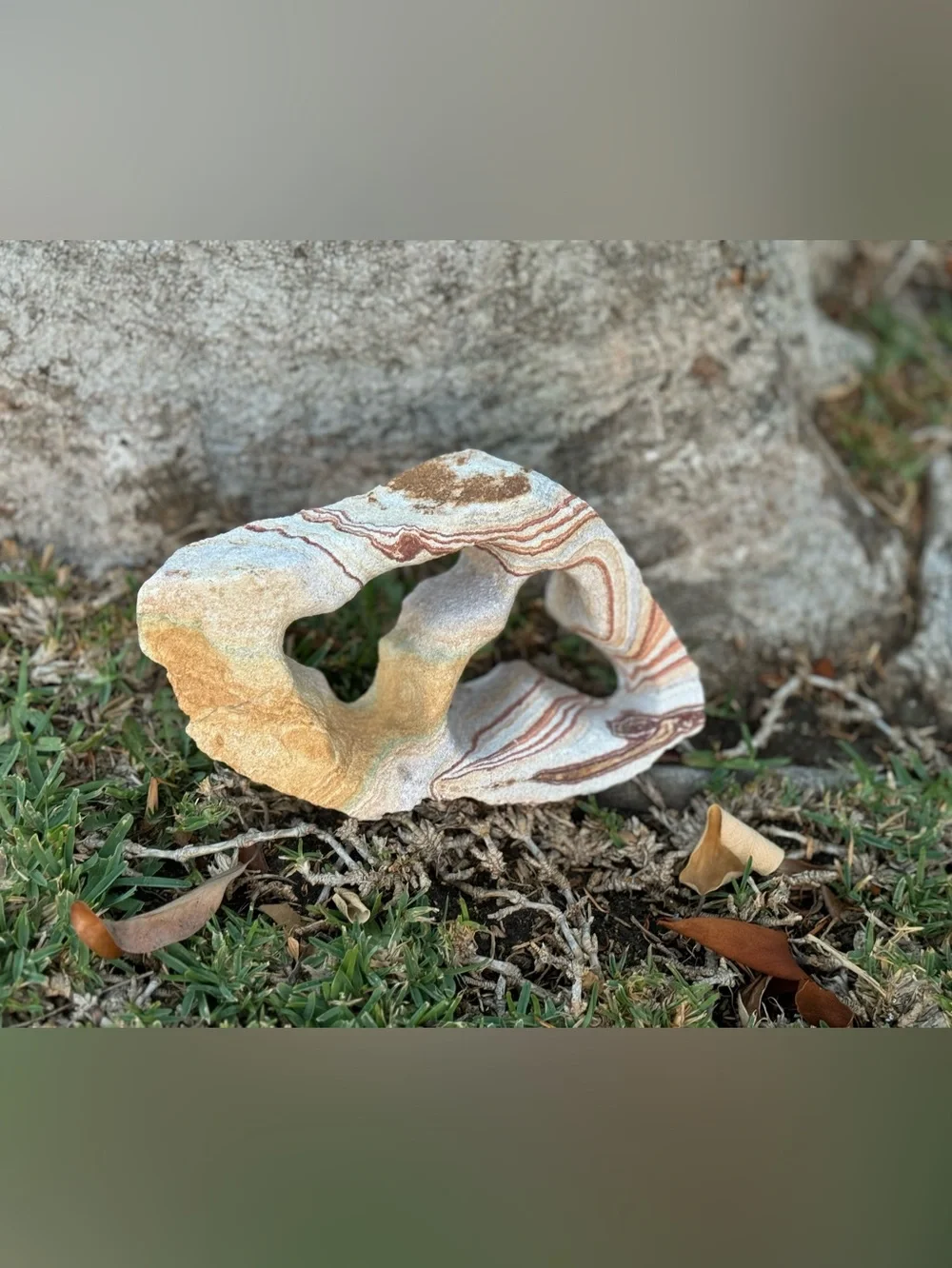 Natural Sandstone Decorative Rock w/ Red & Cream Striations for Aquarium or Tank